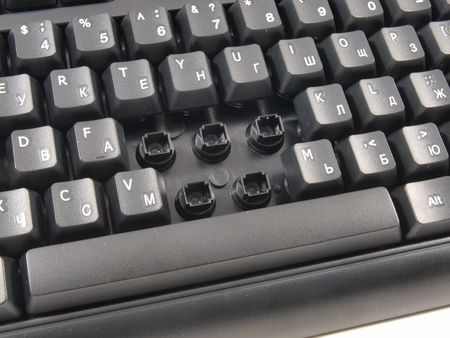450x338  39 KB. Big one: 1200x900  408 KB