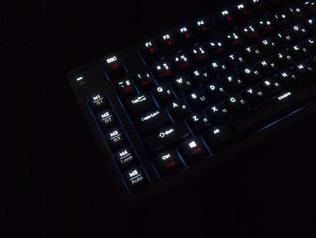 450x338  23 KB. Big one: 1400x1050  378 KB
