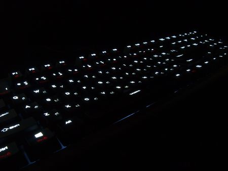 450x338  21 KB. Big one: 1400x1050  455 KB