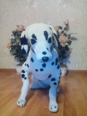 336x448  51 KB. Big one: 1920x2560  1114 KB