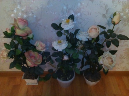 448x336  56 KB. Big one: 3264x2448  1647 KB