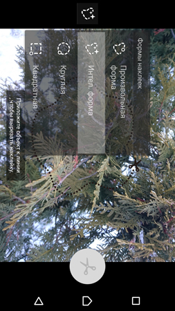 253x450  196 KB. Big one: 844x1500  1589 KB