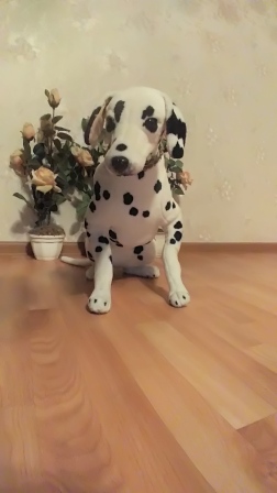 252x448  46 KB. Big one: 1440x2560  899 KB