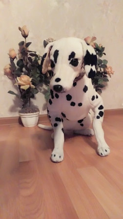 252x448  54 KB. Big one: 1440x2560  908 KB