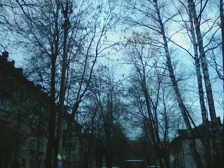 450x338  86 KB. Big one: 2592x1952  703 KB