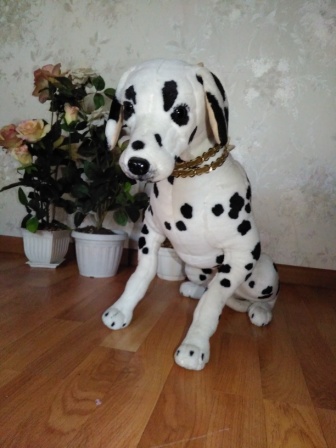 336x448  59 KB. Big one: 2448x3264  1875 KB