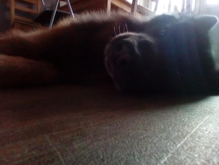 450x338  44 KB. Big one: 2560x1920  458 KB