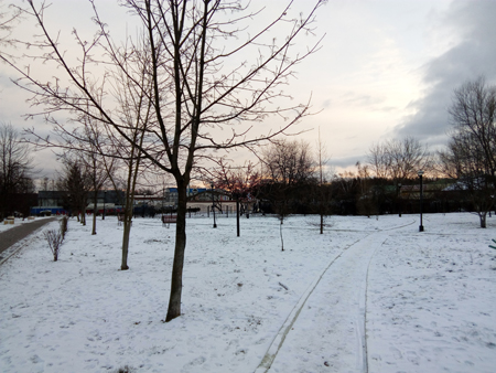 450x338  168 KB. Big one: 4160x3120  5084 KB