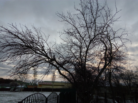 450x338  185 KB. Big one: 4160x3120  5636 KB