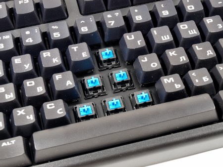 450x338  51 KB. Big one: 1500x1125  430 KB