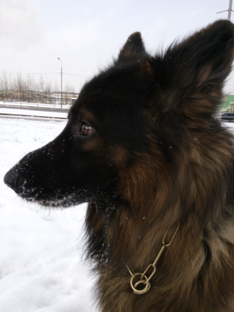 338x450  47 KB. Big one: 3120x4160  1367 KB