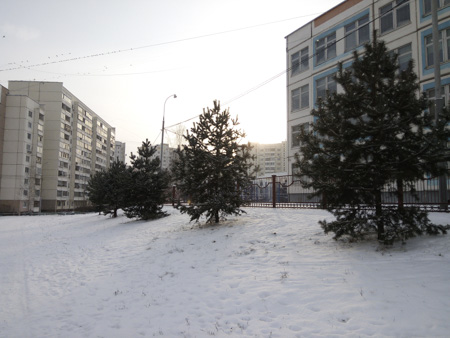 450x338  58 KB. Big one: 4160x3120  2335 KB