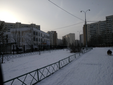 450x338  47 KB. Big one: 4160x3120  1671 KB