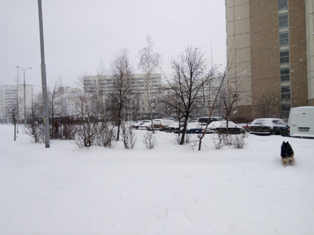 450x338  48 KB. Big one: 4160x3120  2497 KB