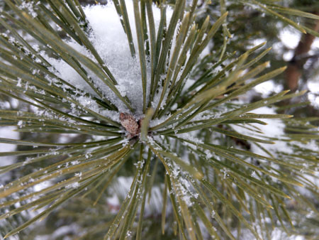 450x338  59 KB. Big one: 4160x3120  2755 KB