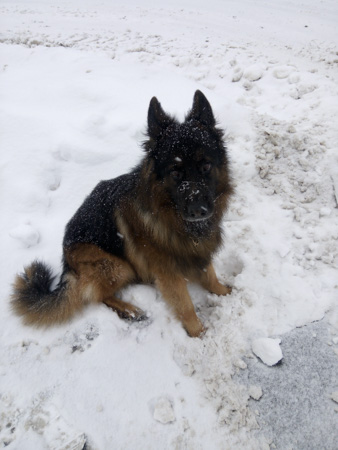 338x450  53 KB. Big one: 3120x4160  1885 KB