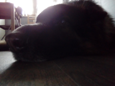 450x338  45 KB. Big one: 2560x1920  227 KB