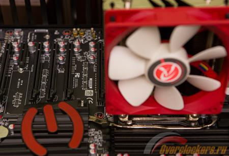 450x307  100 KB. Big one: 1500x1024  357 KB