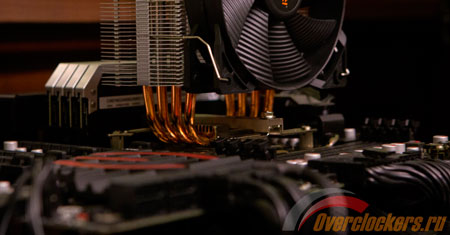 450x235  25 KB. Big one: 1500x783  238 KB