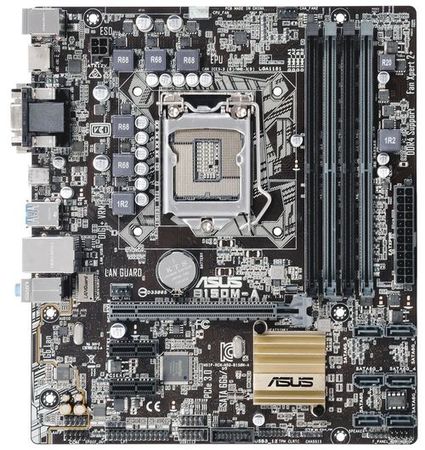 425x450  77 KB. Big one: 851x900  271 KB