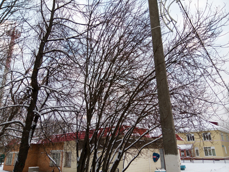 450x338  269 KB. Big one: 4160x3120  7516 KB