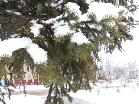 450x338  210 KB. Big one: 4160x3120  4541 KB