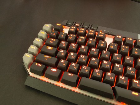 450x338  49 KB. Big one: 1400x1050  484 KB