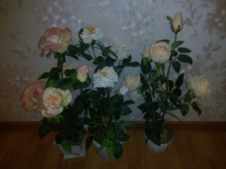 448x336  54 KB. Big one: 4224x3168  4349 KB