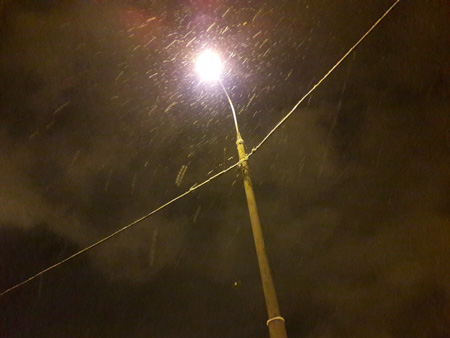 450x338  47 KB. Big one: 4128x3096  1555 KB