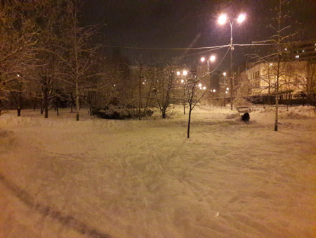 450x338  49 KB. Big one: 4128x3096  1758 KB