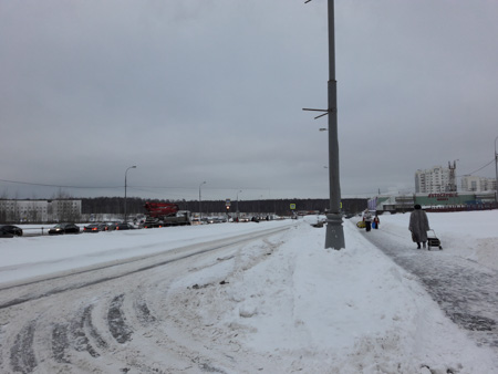 450x338  41 KB. Big one: 4128x3096  1458 KB