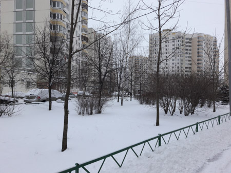 450x338  57 KB. Big one: 4128x3096  3023 KB