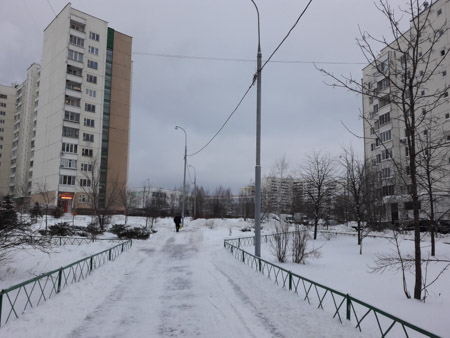 450x338  48 KB. Big one: 4128x3096  2186 KB