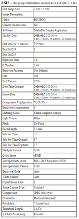 164x450  77 KB. Big one: 364x1000  157 KB