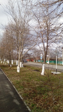 253x450  118 KB. Big one: 1728x3072  1613 KB