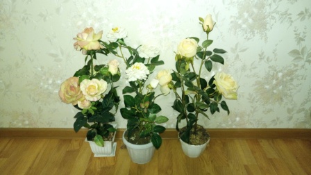 448x252  54 KB. Big one: 6144x3456  8551 KB