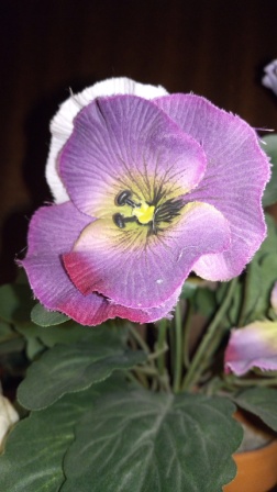 252x448  49 KB. Big one: 3456x6144  8715 KB