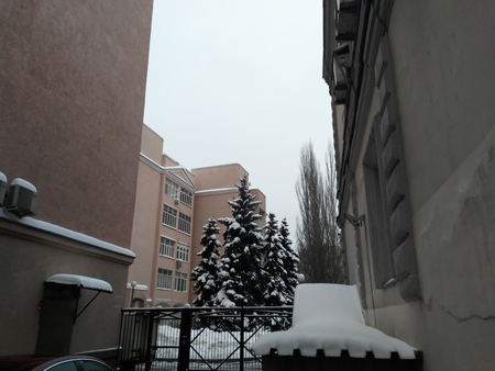 450x338  113 KB. Big one: 4160x3120  2620 KB