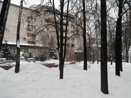 450x338  163 KB. Big one: 4160x3120  4089 KB