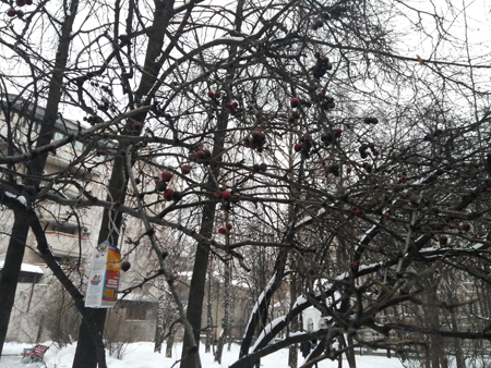 450x338  212 KB. Big one: 4160x3120  5228 KB