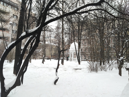 450x338  173 KB. Big one: 4160x3120  3809 KB