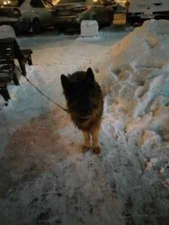 338x450  56 KB. Big one: 3120x4160  868 KB