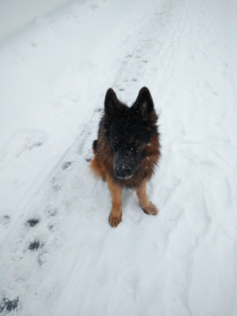 338x450  51 KB. Big one: 3120x4160  972 KB