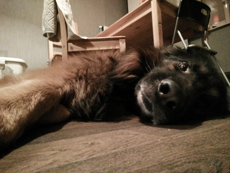 450x338  47 KB. Big one: 3264x2448  997 KB