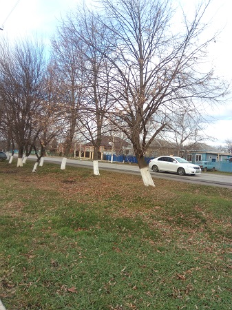 337x450  237 KB. Big one: 3120x4160  5693 KB