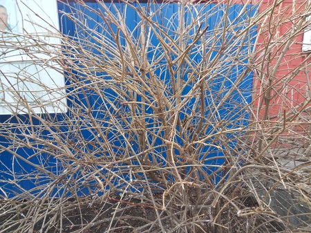 450x337  269 KB. Big one: 4160x3120  5299 KB