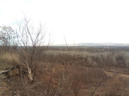 450x337  189 KB. Big one: 4160x3120  3006 KB