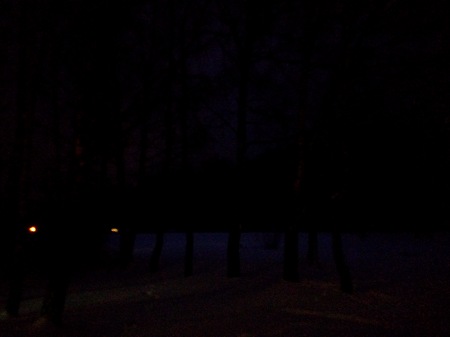 450x337  15 KB. Big one: 4608x3456  1467 KB