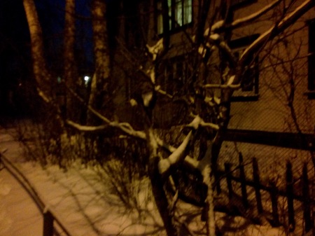 450x337  49 KB. Big one: 4608x3456  2986 KB