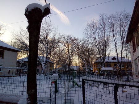 450x337  73 KB. Big one: 4608x3456  6627 KB